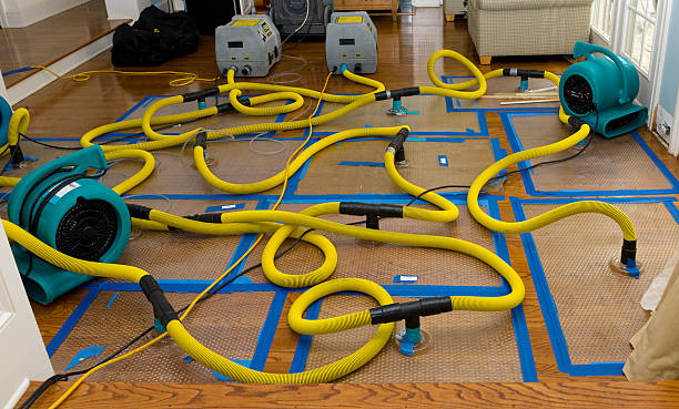 Professional Structural Drying And Dehumidification technician working in Dennis, MA